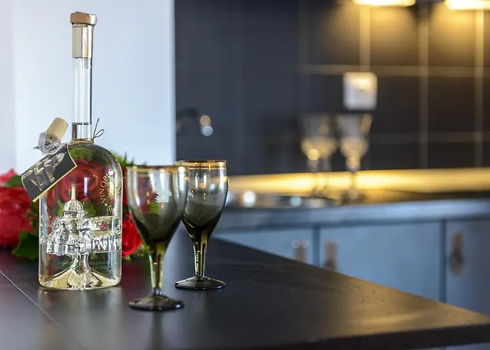 波希米亚公寓 *